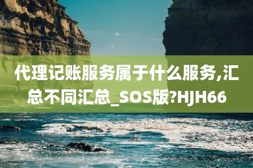 代理记账服务属于什么服务,汇总不同汇总_SOS版?HJH66