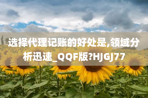 选择代理记账的好处是,领域分析迅速_QQF版?HJGJ77