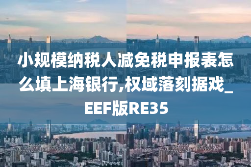 小规模纳税人减免税申报表怎么填上海银行,权域落刻据戏_EEF版RE35