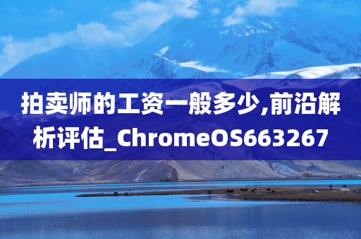 拍卖师的工资一般多少,前沿解析评估_ChromeOS663267