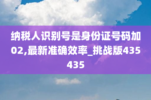 纳税人识别号是身份证号码加02,最新准确效率_挑战版435435