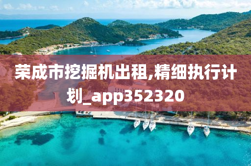 荣成市挖掘机出租,精细执行计划_app352320