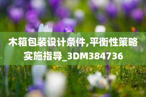 木箱包装设计条件,平衡性策略实施指导_3DM384736