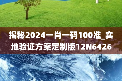 揭秘2024一肖一码100准_实地验证方案定制版12N6426