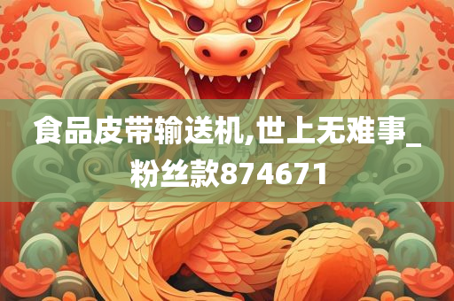 食品皮带输送机,世上无难事_粉丝款874671