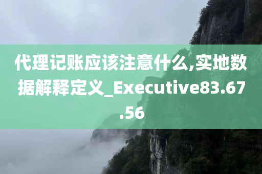 代理记账应该注意什么,实地数据解释定义_Executive83.67.56