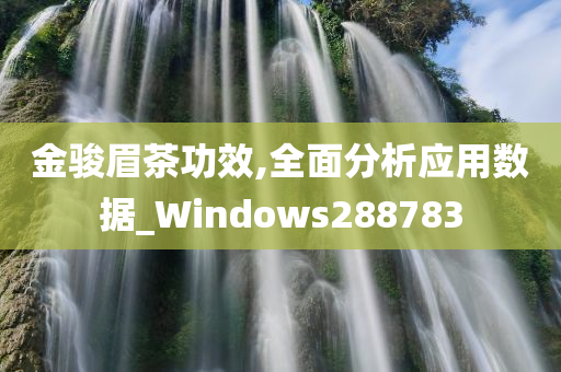 金骏眉茶功效,全面分析应用数据_Windows288783