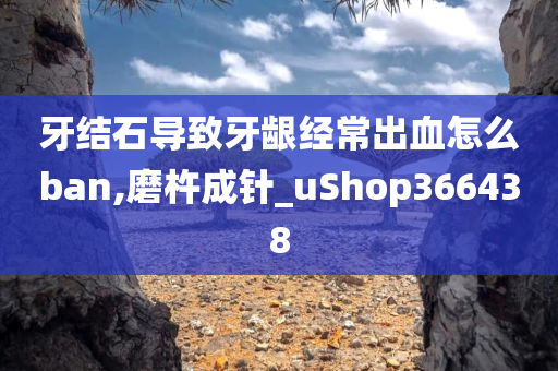 牙结石导致牙龈经常出血怎么ban,磨杵成针_uShop366438