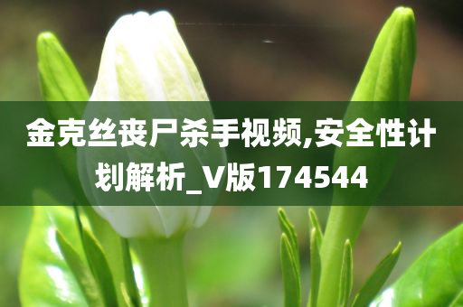 金克丝丧尸杀手视频,安全性计划解析_V版174544