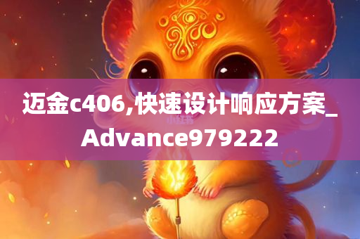 迈金c406,快速设计响应方案_Advance979222