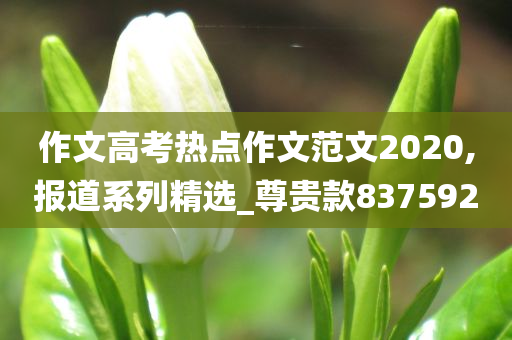 作文高考热点作文范文2020,报道系列精选_尊贵款837592