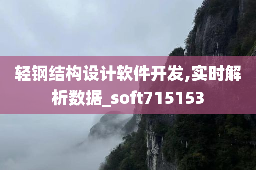 轻钢结构设计软件开发,实时解析数据_soft715153