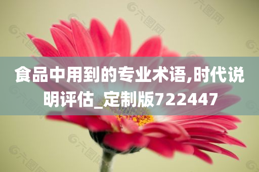 食品中用到的专业术语,时代说明评估_定制版722447