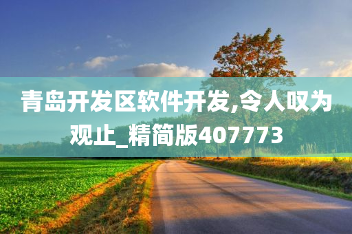 青岛开发区软件开发,令人叹为观止_精简版407773