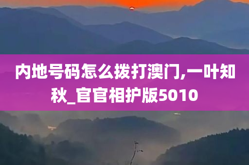 内地号码怎么拨打澳门,一叶知秋_官官相护版5010