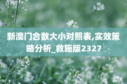 新澳门合数大小对照表,实效策略分析_救施版2327