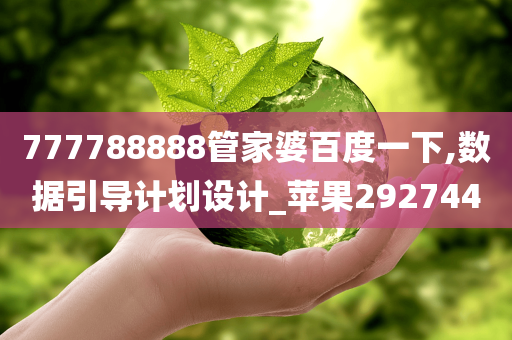 777788888管家婆百度一下,数据引导计划设计_苹果292744