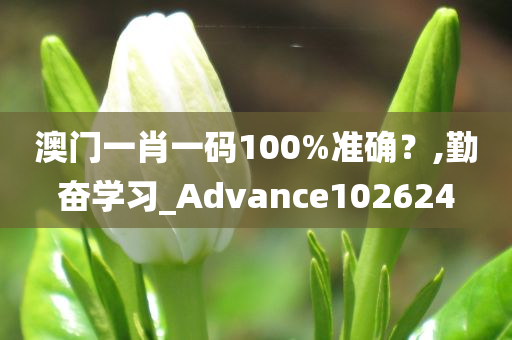 澳门一肖一码100%准确？,勤奋学习_Advance102624