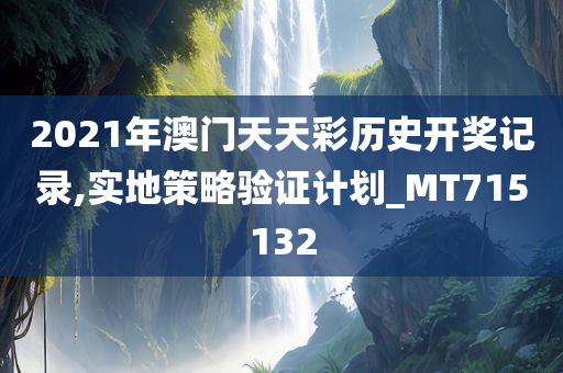 2021年澳门天天彩历史开奖记录,实地策略验证计划_MT715132