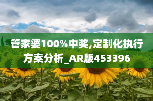 管家婆100%中奖,定制化执行方案分析_AR版453396