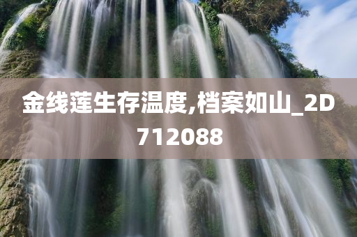 金线莲生存温度,档案如山_2D712088