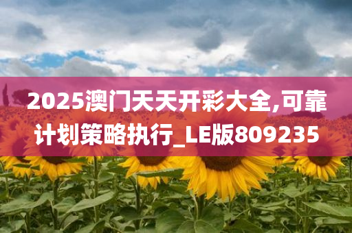 2025澳门天天开彩大全,可靠计划策略执行_LE版809235