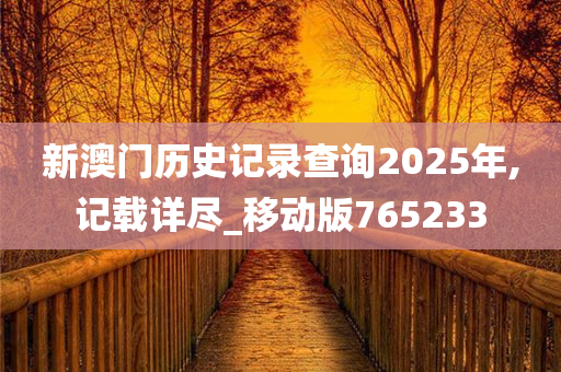 新澳门历史记录查询2025年,记载详尽_移动版765233