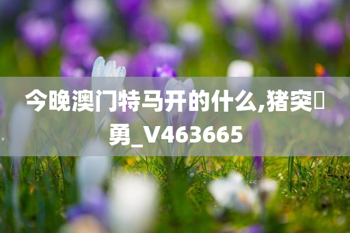 今晚澳门特马开的什么,猪突豨勇_V463665