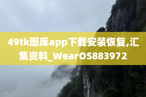 49tk图库app下载安装恢复,汇集资料_WearOS883972