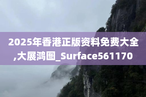 2025年香港正版资料免费大全,大展鸿图_Surface561170