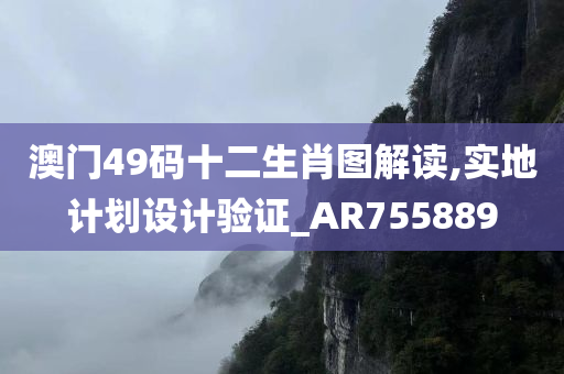 澳门49码十二生肖图解读,实地计划设计验证_AR755889