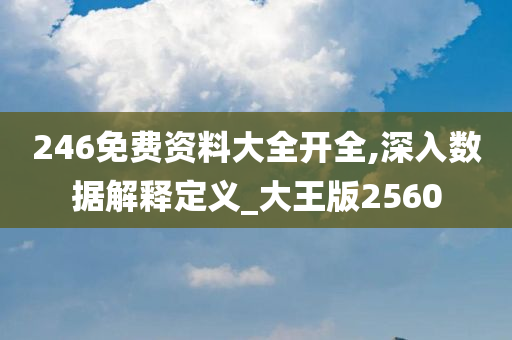 246免费资料大全开全,深入数据解释定义_大王版2560