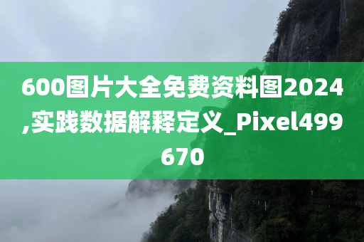 600图片大全免费资料图2024,实践数据解释定义_Pixel499670