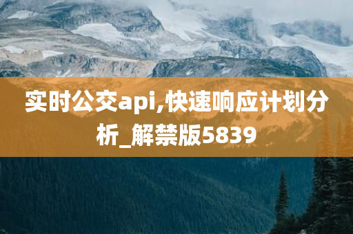 实时公交api,快速响应计划分析_解禁版5839