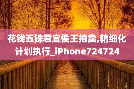 花钱五铢君宜侯王拍卖,精细化计划执行_iPhone724724