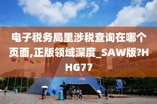 电子税务局里涉税查询在哪个页面,正版领域深度_SAW版?HHG77