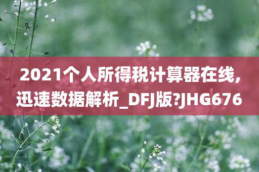 2021个人所得税计算器在线,迅速数据解析_DFJ版?JHG676