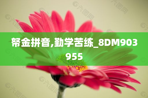 帑金拼音,勤学苦练_8DM903955