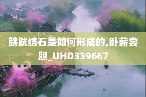 膀胱结石是如何形成的,卧薪尝胆_UHD339667