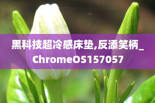 黑科技超冷感床垫,反添笑柄_ChromeOS157057