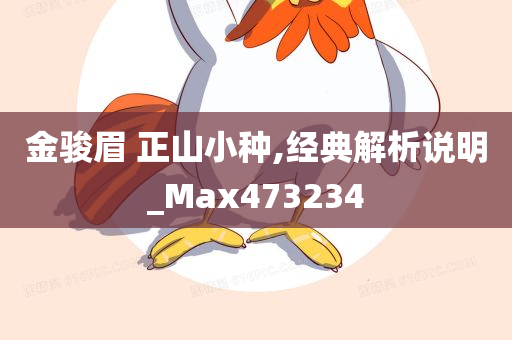 金骏眉 正山小种,经典解析说明_Max473234