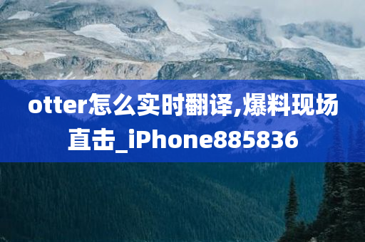 otter怎么实时翻译,爆料现场直击_iPhone885836