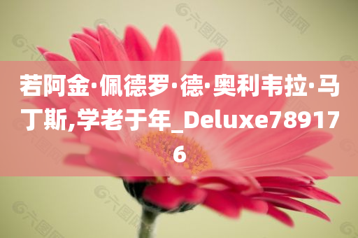 若阿金·佩德罗·德·奥利韦拉·马丁斯,学老于年_Deluxe789176