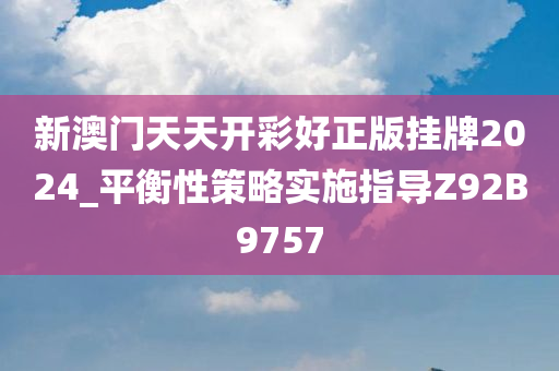 新澳门天天开彩好正版挂牌2024_平衡性策略实施指导Z92B9757