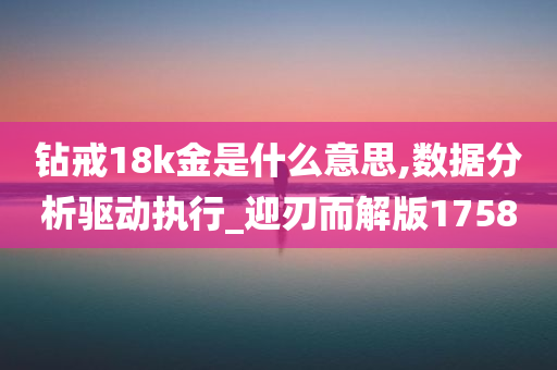 钻戒18k金是什么意思,数据分析驱动执行_迎刃而解版1758