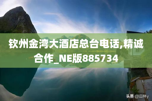 钦州金湾大酒店总台电话,精诚合作_NE版885734