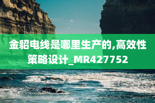 金貂电线是哪里生产的,高效性策略设计_MR427752