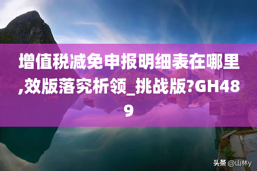 增值税减免申报明细表在哪里,效版落究析领_挑战版?GH489