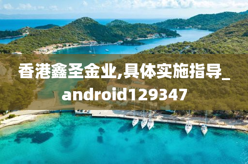 香港鑫圣金业,具体实施指导_android129347