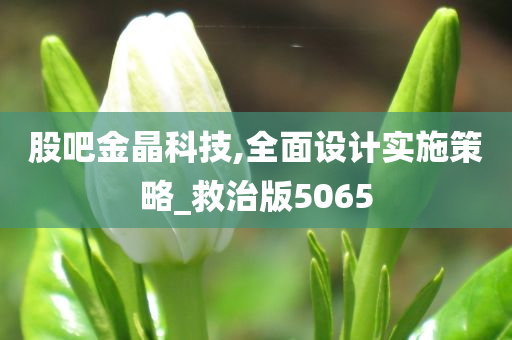 股吧金晶科技,全面设计实施策略_救治版5065